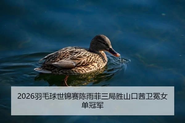 2026羽毛球世锦赛陈雨菲三局胜山口茜卫冕女单冠军